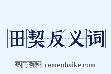 田契反义词是什么意思的图片